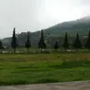 lena.marpaung8