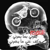 dy83t7m6e4g6