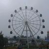 nadialy_