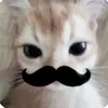 slofifaik0_