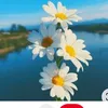 rintada2