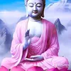 tuunguyen178