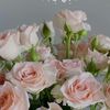 mnool42222