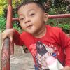 alifputra652