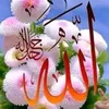 dy9wyskp7mmy