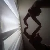 pet_459