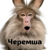 nekro_23
