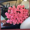 user8690592011225