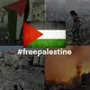muslimdelmundo