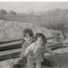 laurel_1972