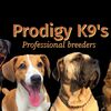 prodigy_k9s