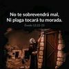 yessenia82203312444108