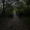 mackenzie_k0763