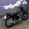 _golekopocokk