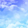 c_nhung00
