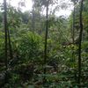 budi.sarjaya
