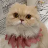 yara_xan.127