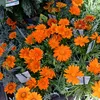 www.alward.comwww.alward