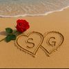 shekh7895