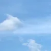 ni1654865