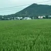 cn.gi.nh.nhng54