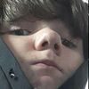 donkeyanimal3