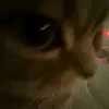 kiki_.1077