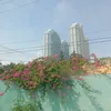 changtraibattu18