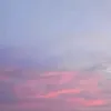 alinnnn40