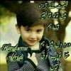 habiburrehman8485