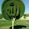 user9281091440815