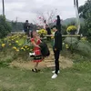 hngdngngcnng39