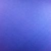 user1681088442537