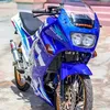kdw8238