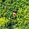 houserbush