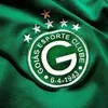 danilorodrigue3381