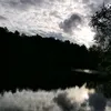 owniker