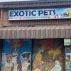 Exotic Pets Toronto