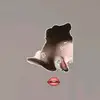 dani_gmms