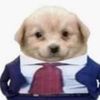 perrito.__.fino