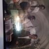 gregorybryant5203