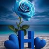 user5510666161462