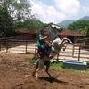 cesar.diossa