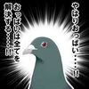 hato.hato.tarou