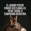 fuego..activao.82
