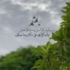 amsreasr