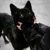 oksana_45.1