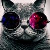 archiveforce