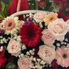 chanh_1021987