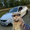 mahib_noman